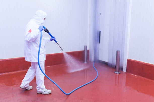 Best Paint Preparation  in Winters, CA